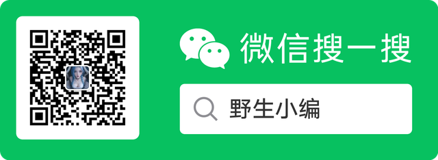 微信搜一搜 AI迅搜